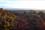 Benty Farm Wirral  view