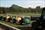 Barel_train-Gregorys_Farm-Brimstage