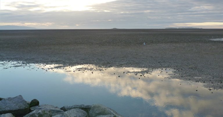 View to Hilbre Island