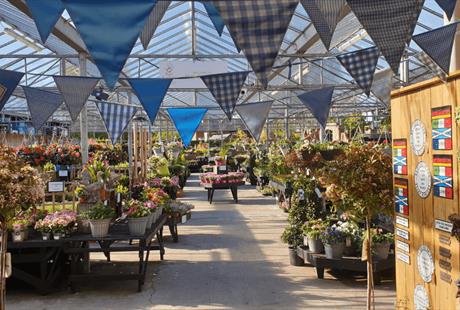Blue bunting hangs across a large, sunny greenhouse filled with potted plants.