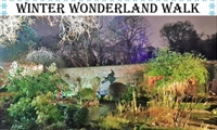 Poulton Hall Winter Wonderland Walk