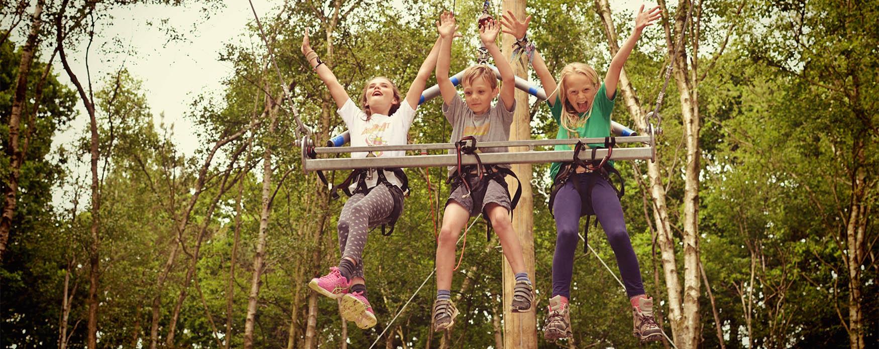 children laughing in tree