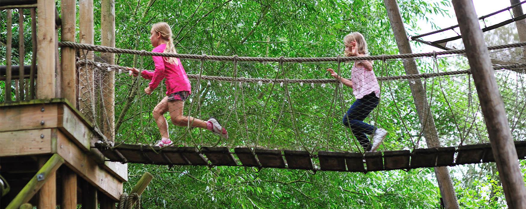 Groombridge, children on tree walk in Wealden