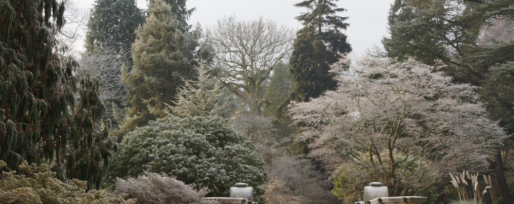 Image of the Bridge at Sheffield Park on a winters day