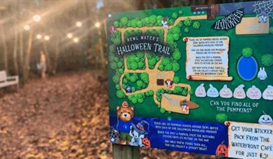 A poster of the Bewl Water Halloween Trail, in the middle of the woods