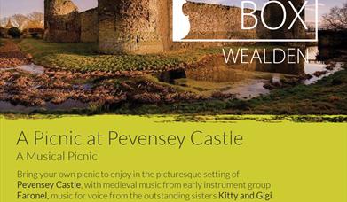 Picnic at Pevensey concert