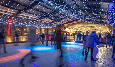 The Ice Rink At Sheffield Park