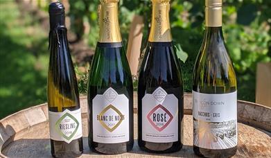Selection of bottles of wine