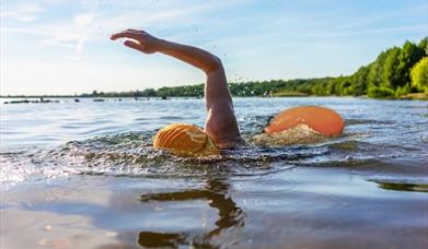 Lady swimming in Bewl Water's water