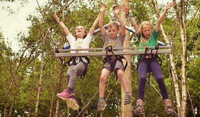 Children on tree swing