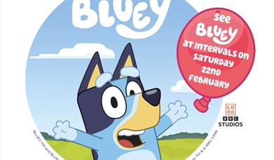 Image of bluey