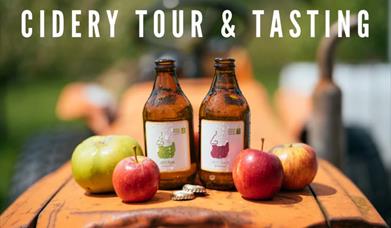 Image of Cider tour and tasting at Bignose and Beardy poster