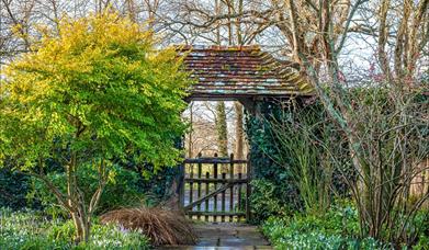 Image of Bates Green Garden