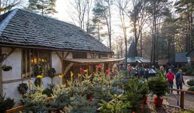 Christmas Trees and Winter Fayre at Wilderness Wood