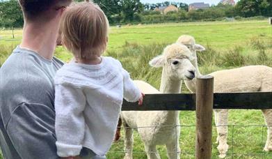 Father and Daughter looking at the farm animals together