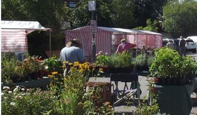 Heathfield Market stands