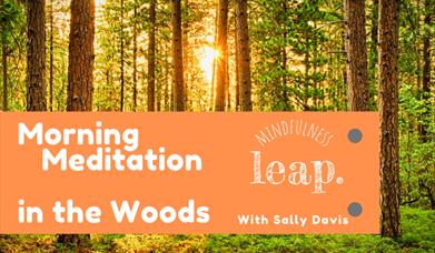 Morning Meditation at Wilderness Wood