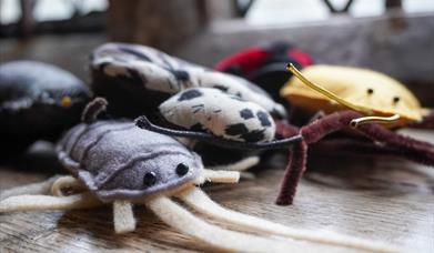 Fabric bugs on a wooden window ledge