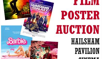 Poster of the film post auction at Hailsham Pavilion