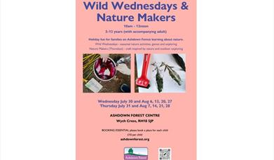 poster of Wild Wednesdays and Nature Makers at Ashdown Forest Centre