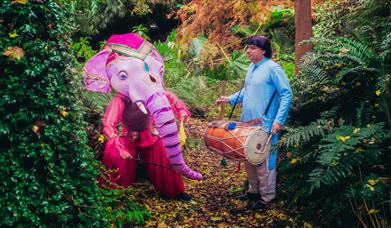 Sonia Sabri - The Elephant & the Drummer