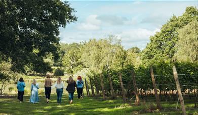 Image of a group walking down the vineyard at Birchden Vineyards on a sunny day