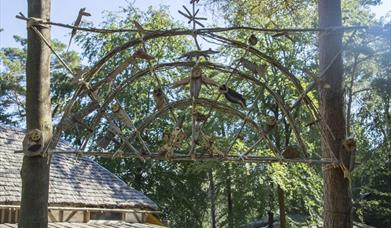 Half Term at Wilderness Wood