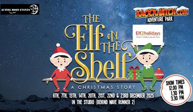 Elf On The Shelf Show