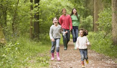 Image of a family walking