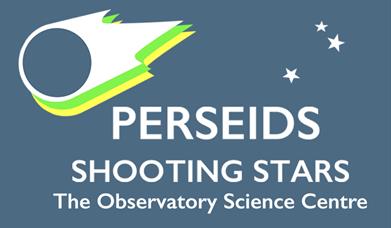 PERSEIDS SHOOTING STARS