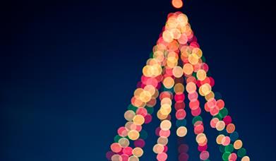 a blurred image of a multi-coloured Christmas tree