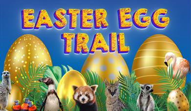 Image of the Easter egg trail poster at Drusillas Park