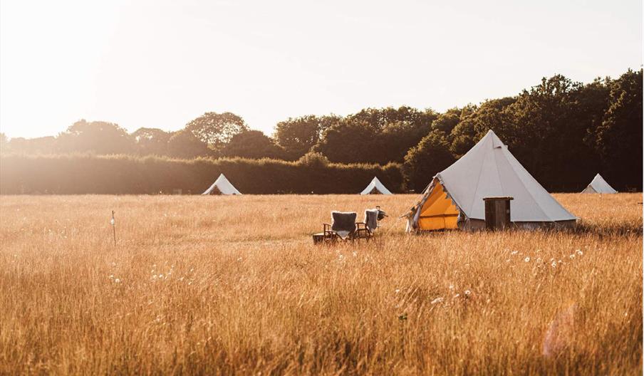 Exterior image of the tents