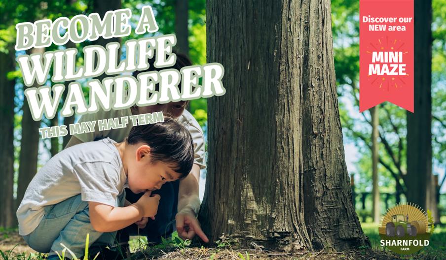 Poster for May Half Term at Sharnfold Farm