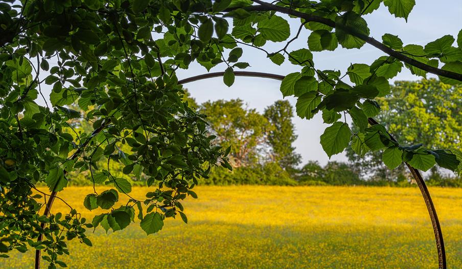 A red cartwheel frames the view of a wildflower meadow