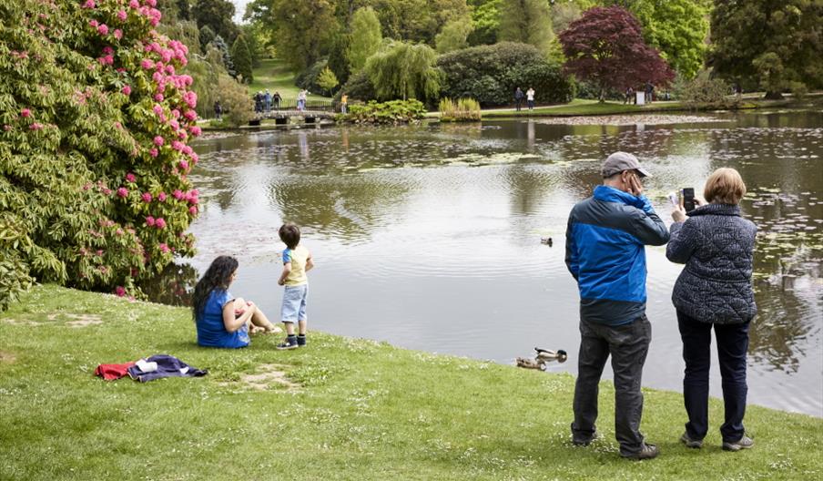 visitors at Sheffield Park lake