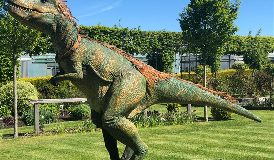 a large costume of a green dinosaur, walking on a lawn
