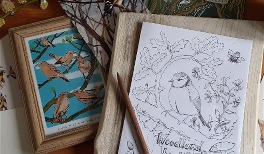 a black and write drawing of a bird on a branch, alongside other drawings of birds