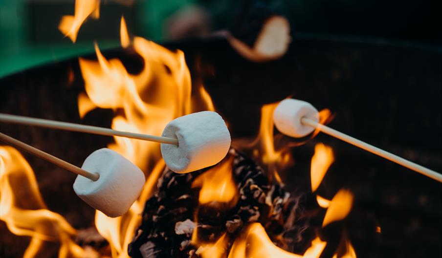 Camping Fire with marshmallows