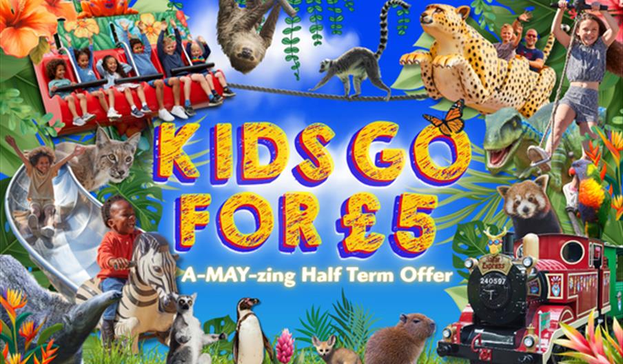 a promotional poster for Drusillas; the text reading 'Kids Go For £5: A-MAY-zing Half Term Offer