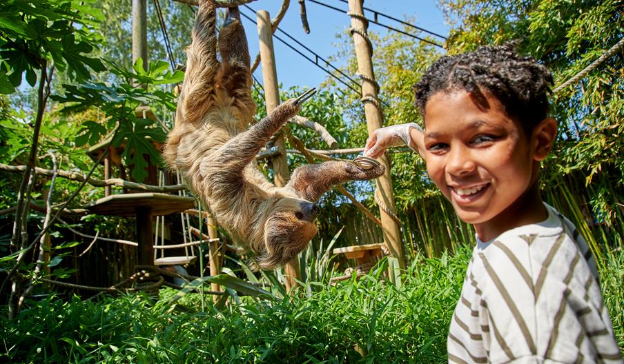 boy with sloth at Drusillas