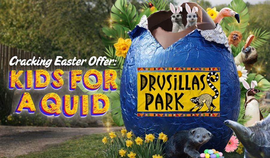 a 'Cracking Easter Offer: Kids for a Quid' promotional poster from Drusillas Park