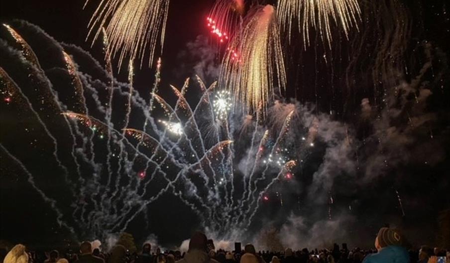 a crowd watching fireworks in a field