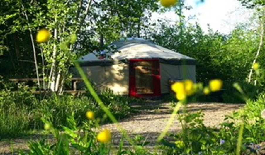 Yurt at Forest Garden - Kushti