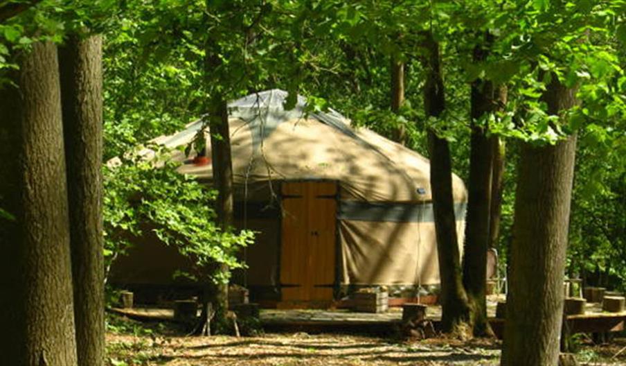 Yurt in forest