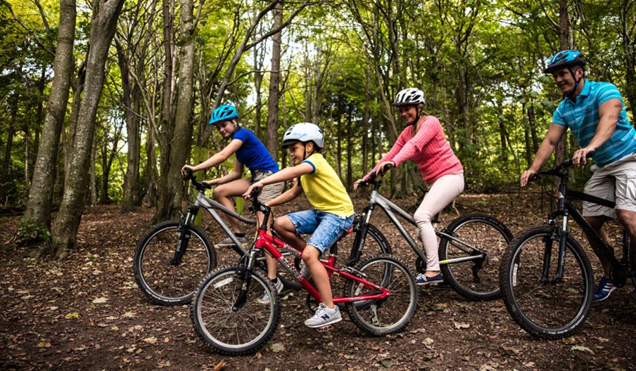 a family of four - two boys and their parents - cycling through woodland