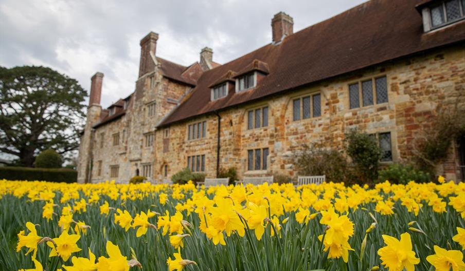 Michelham Priory exterior with daffodils