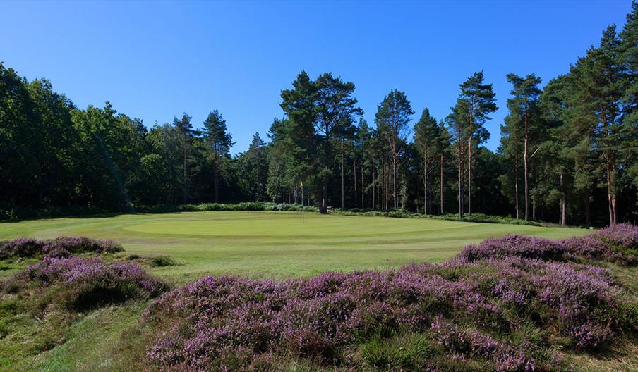 Royal Ashdown Golf 16th hole