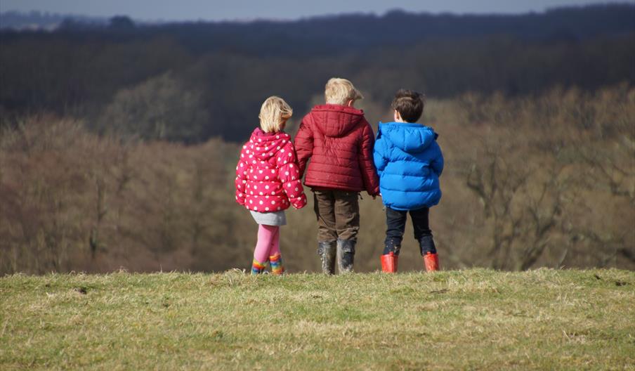 February Half-Term Wild Imagination Week