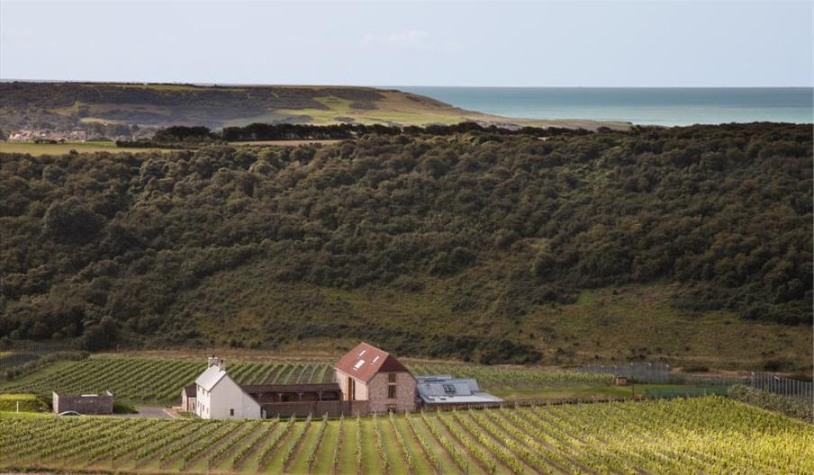 South Downs and the sea from Rathfinny in Sussex